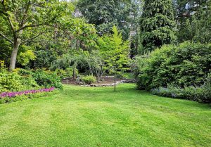 Optimiser l'expérience du jardin à Villeneuve-de-Berg